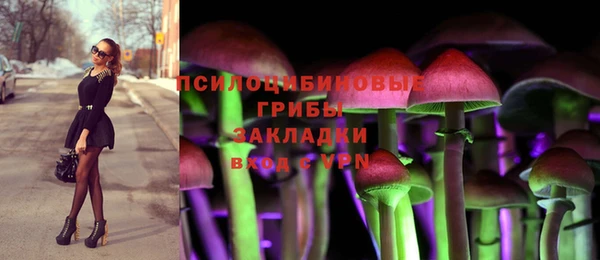 мяу мяу мука Абаза