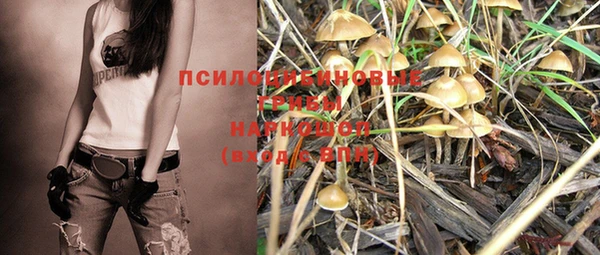 PSILOCYBIN Абдулино