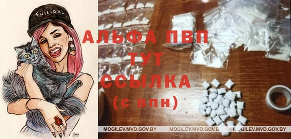 PSILOCYBIN Абдулино