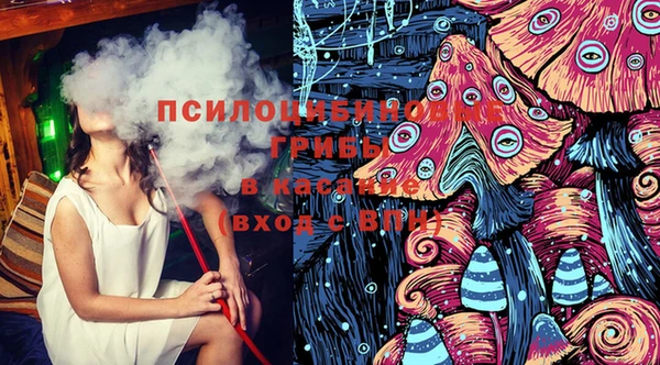 PSILOCYBIN Абдулино