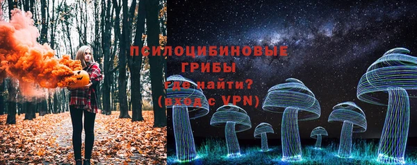 spice Алексин
