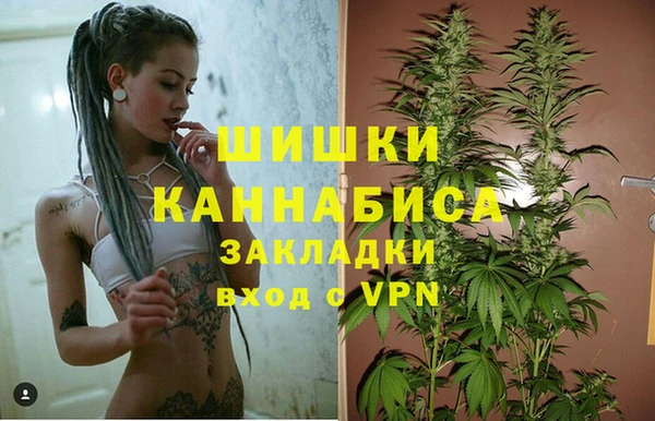 гашик Гусиноозёрск