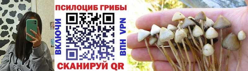 цена наркотик  Ленинградская  Галлюциногенные грибы MAGIC MUSHROOMS 